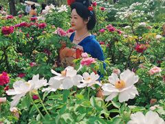 -洛阳市隋唐城遗址植物园