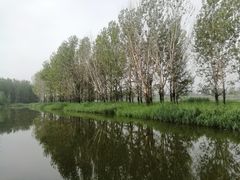 -顺鑫绿色度假村