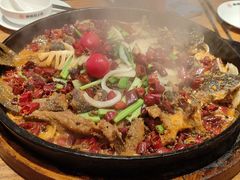 -老板恋上鱼(恒隆广场店)