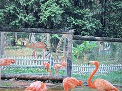 -贵州森林野生动物园