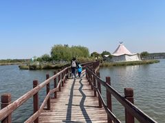 -西青郊野公园