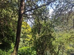 -偏爱炒鸡(老县衙店)