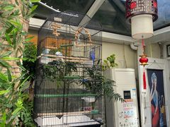 -丽江庭院之丽江往事(安定门店)