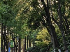 -昆山城市生态森林公园