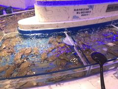 -澜悦港海鲜体验主题餐厅