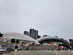 -嘉庚体育馆