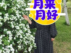 -武清南湖绿博园