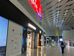 -郑州新郑国际机场-T2航站楼
