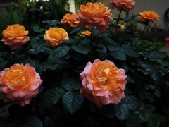 -默迹咖啡馆