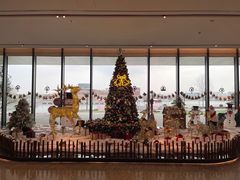 -东方美谷JW万豪酒店·The lounge大堂吧