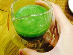 -柴务处·柴犬主题狗咖