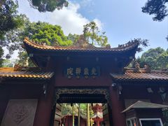 -凤栖山
