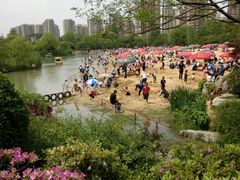 -青枫公园