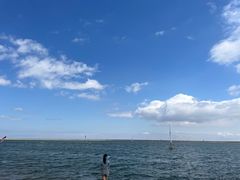 -碧海金沙