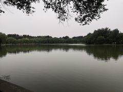 -廊坊市自然公园