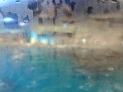 -海合安武汉极地海洋公园