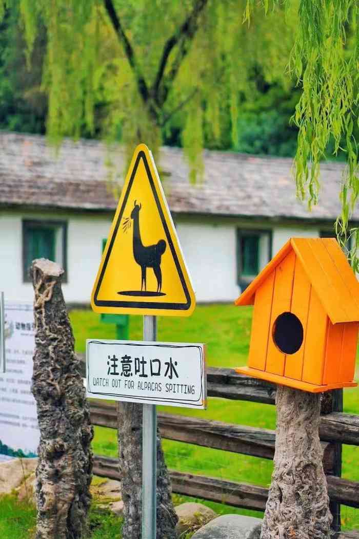 湘湖山里人家户外烧烤越野车团建营地