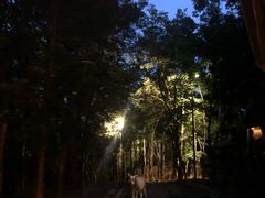 -清迈夜间动物园