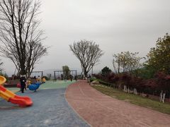 -铁山坪森林公园