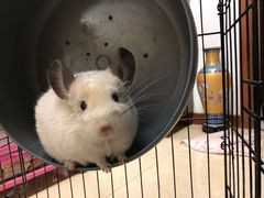 -雨林宠物医院 非犬猫异宠专科