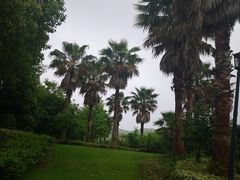-宁波九龙湖开元度假村