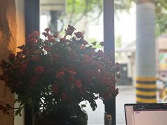 -Apollo·西班牙小酒馆(安福路店)