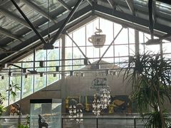 -猫屎咖啡(陶溪川店)