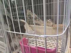 门面-UltraForce超源健身私教工作室(长楹天街精品店)