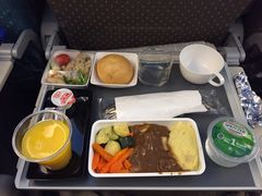 -新加坡航空公司(ION)