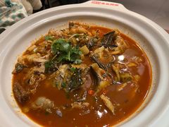 -魏铭鱼头捞饭(嘉善店)