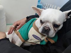 -怪兽屋·羊驼·猫咖·狗咖(俊华广场店)