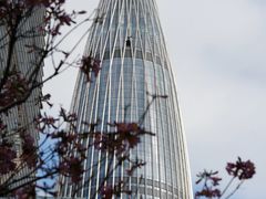 -深圳湾万象城(南山店)