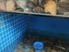 -宾朋海鲜饭庄(兴海路店)