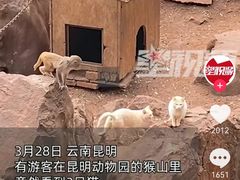 -昆明动物园