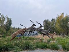 -武清南湖绿博园