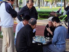-万绿园