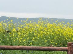 -新疆那拉提国家旅游度假区