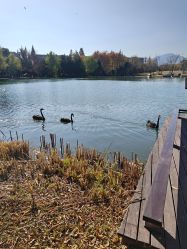 -Hamleys哈姆雷斯(东方福来德店)