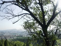 -原山国家森林公园