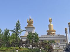 -兴隆文化园景区-兖州博物馆