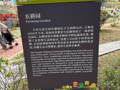 -天河儿童公园