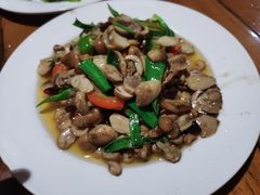 -翕庐小苑