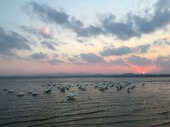 -烟墩角天鹅湖