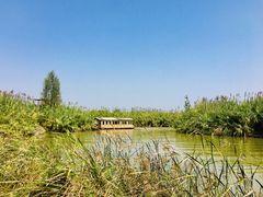 -泗洪洪泽湖湿地景区
