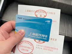 -龙阳路磁悬浮列车总站-停车场