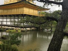 -豆政(金閣寺境内売店)