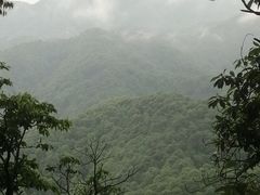 -西湖风景区十里琅珰-五云山