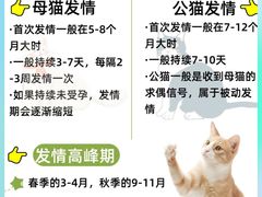 -酷酷宠物店(泉北大街店)