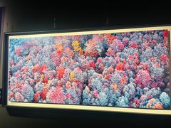 -罗红摄影艺术馆