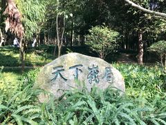 -峨眉山报国寺